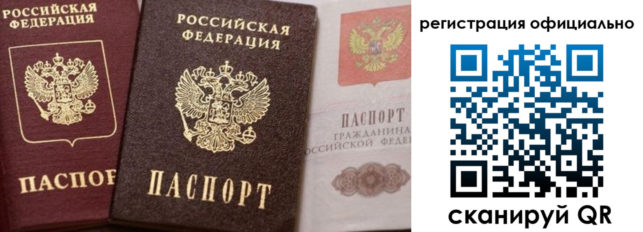 временная регистрация недорого в Курчатове